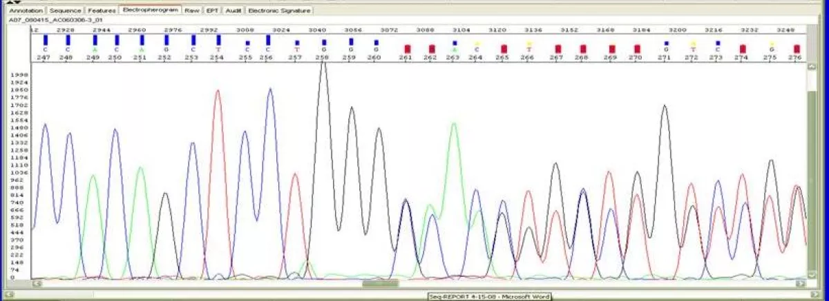 DNA sequencing